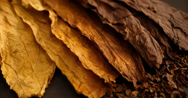 Tobacco Blends